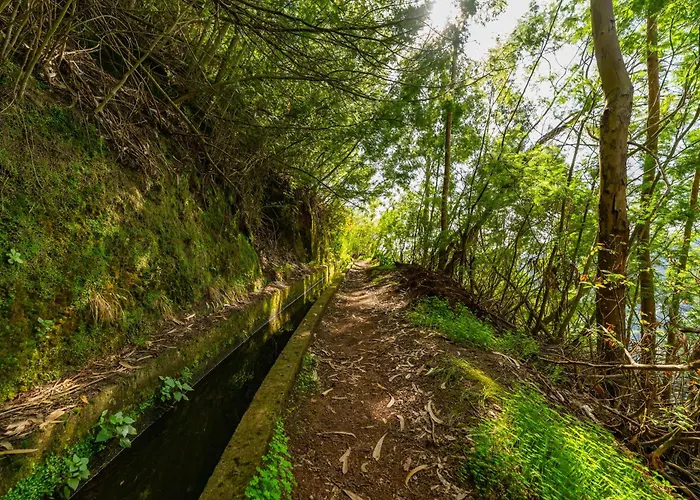 Oxford Alpine Escape Gaula