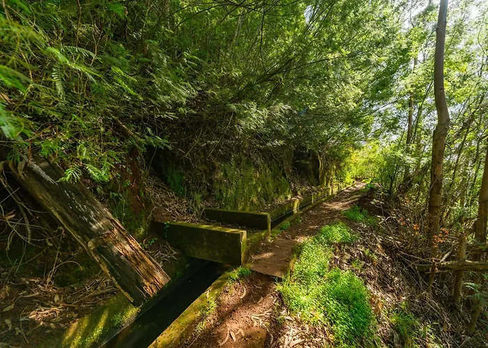 Oxford Alpine Escape Appartamento