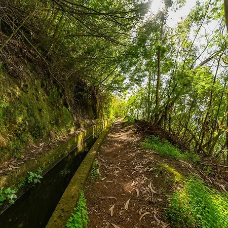 Oxford Alpine Escape Eiras Velhas