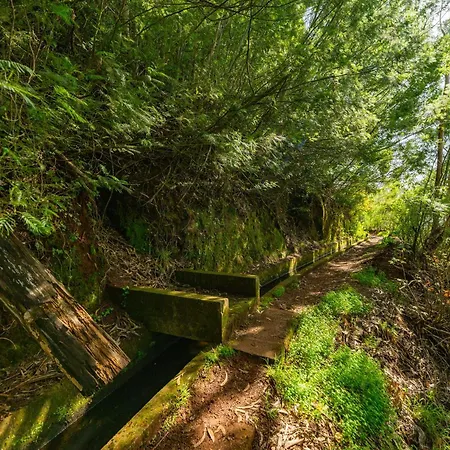 Oxford Alpine Escape Lägenhet